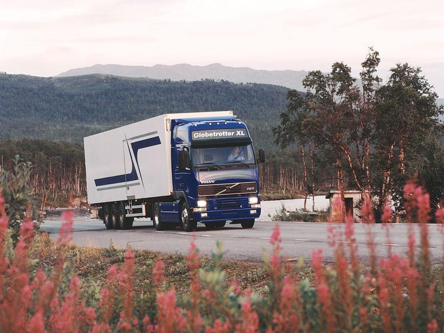  Volvo FH12 Globetrotter XL 1995 года  (фото 4 из 9)